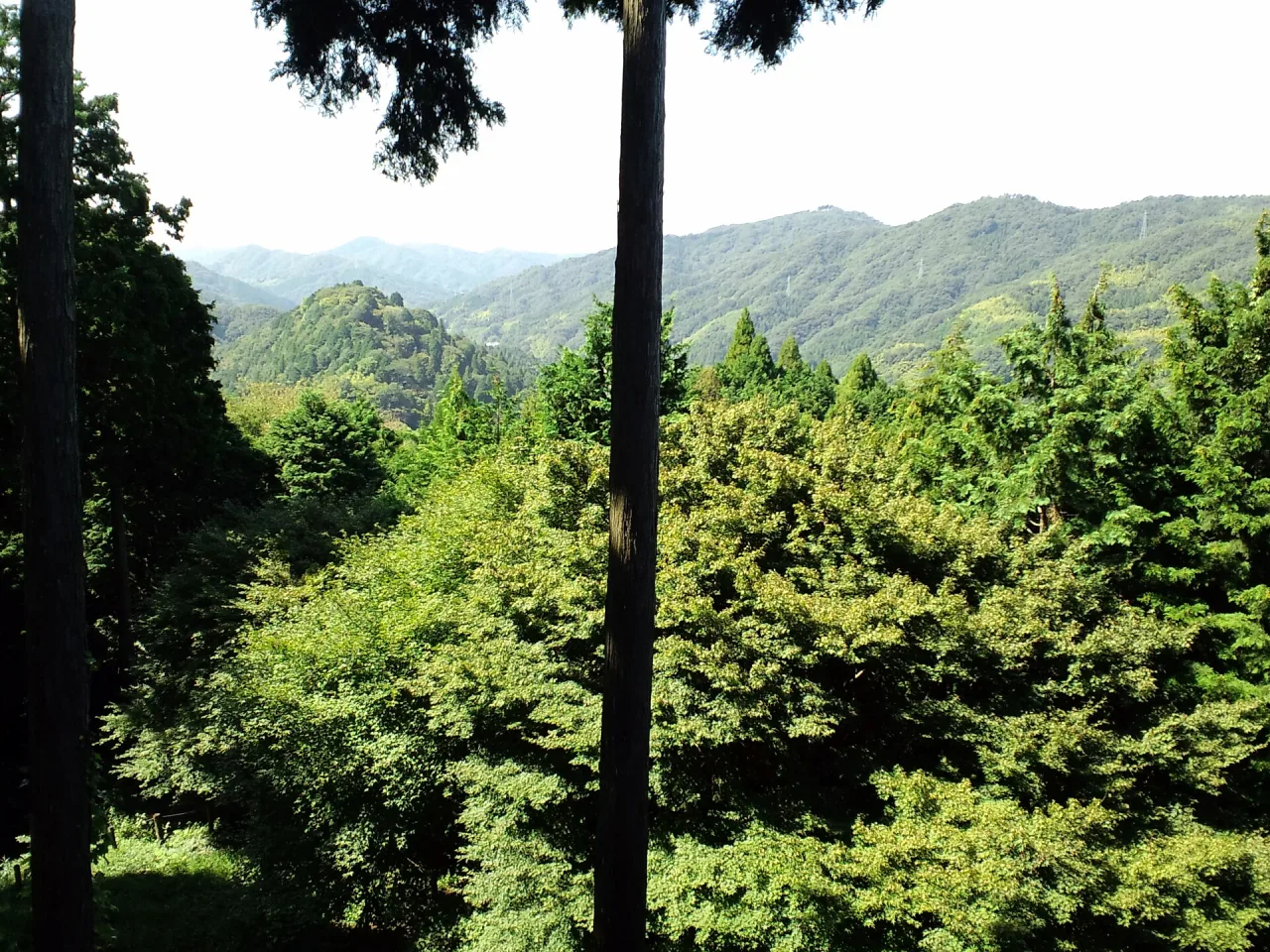 平勝寺周辺の風景(足助城 - panoramio)
