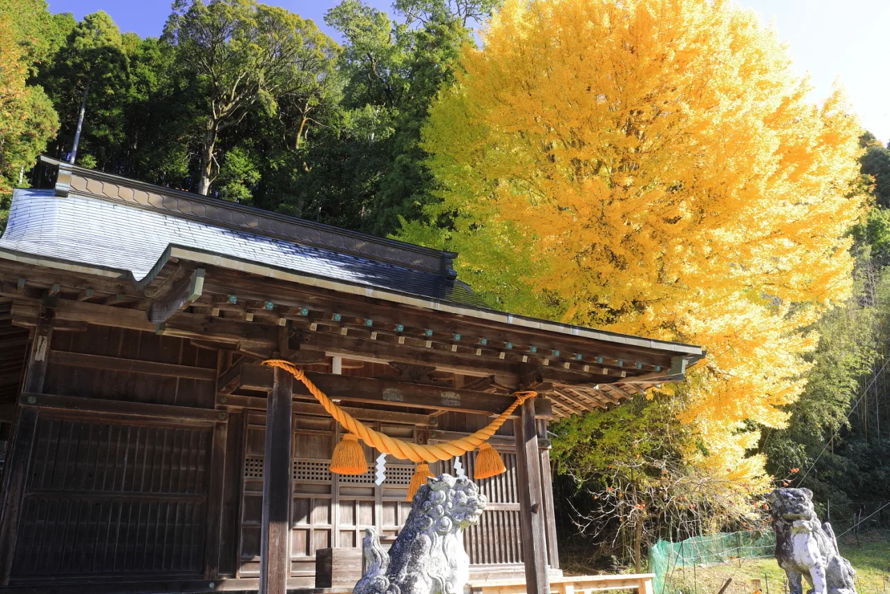 三河湖周辺の風景(Kumano-Jinja Shrine Haiden, Ozeki Habu-cho Toyota City 2019)